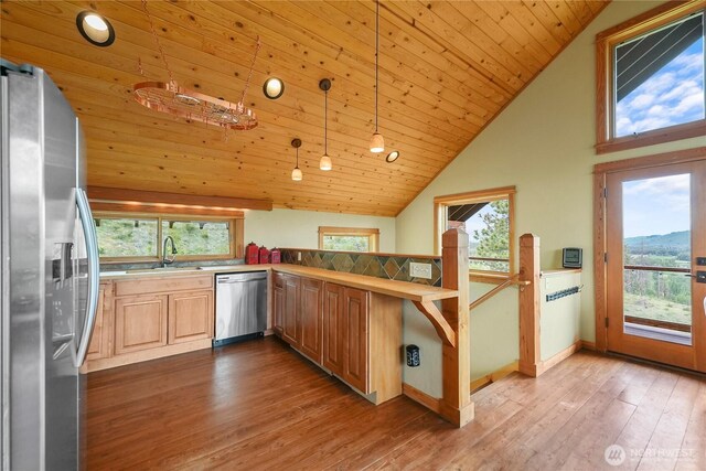 41 Red Tail Ridge Rd, Twisp, WA 98856 - kitchen featuring appliances with stainless steel finishes, a sink, vaulted ceiling, wood finished floors, and wooden ceiling