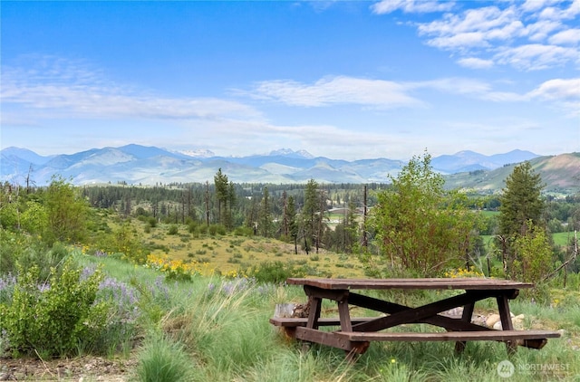 41 Red Tail Ridge Rd, Twisp, WA 98856 - view of mountain background with a forest