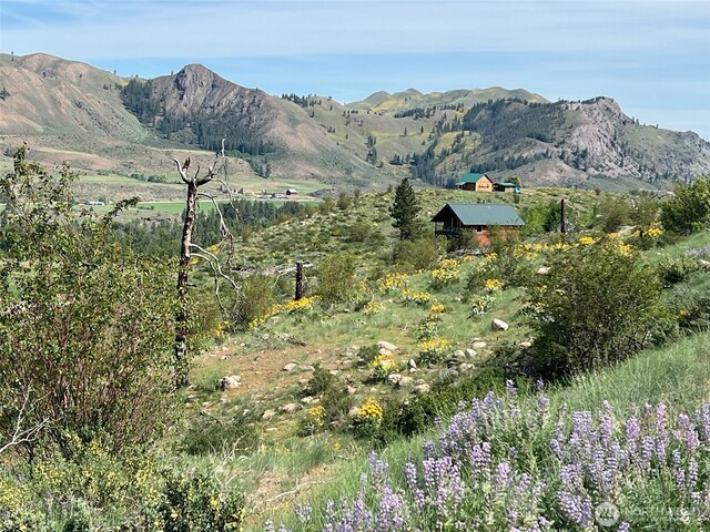 41 Red Tail Ridge Rd, Twisp, WA 98856 - view of mountain background