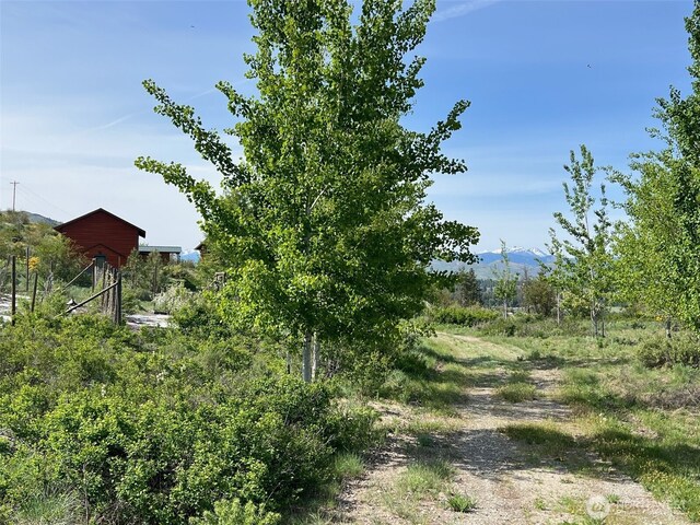 41 Red Tail Ridge Rd, Twisp, WA 98856 - view of yard featuring a mountain view