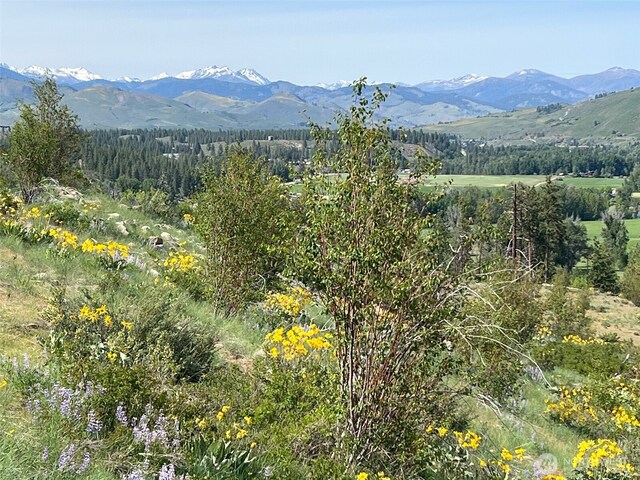 41 Red Tail Ridge Rd, Twisp, WA 98856 - view of mountain backdrop