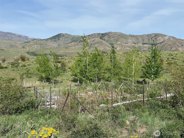41 Red Tail Ridge Rd, Twisp, WA 98856 - view of mountain background