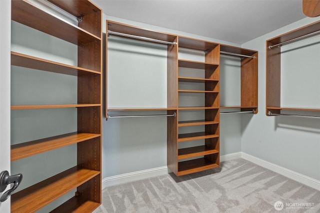 spacious closet with carpet floors
