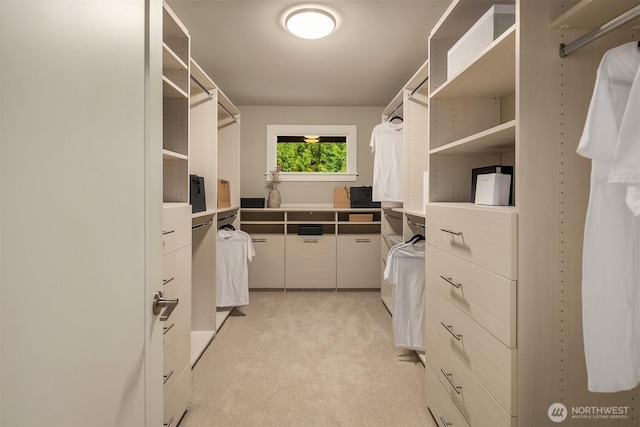 walk in closet with light colored carpet