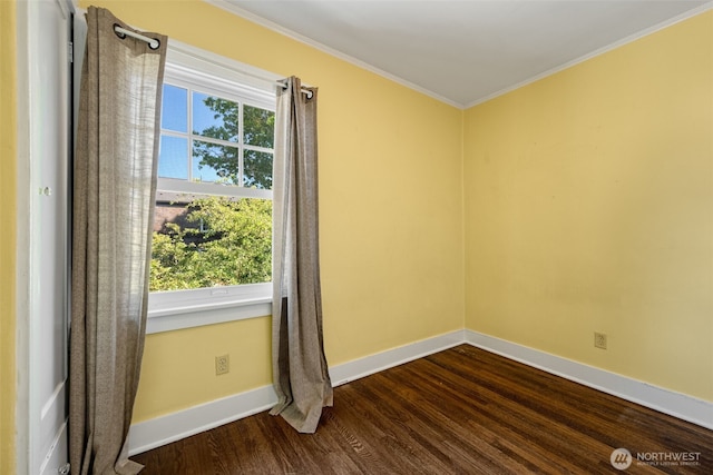 746 10th Ave E, Seattle, WA 98102 - unfurnished room with crown molding, a wealth of natural light, baseboards, and dark wood-type flooring