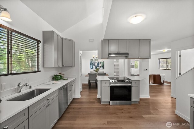 4822 S M St, Tacoma, WA 98408 - kitchen featuring appliances with stainless steel finishes, a sink, and gray cabinets