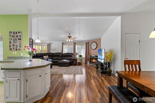 living area with dark wood-style flooring and a ceiling fan