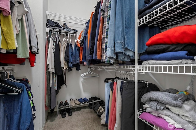 walk in closet featuring carpet flooring