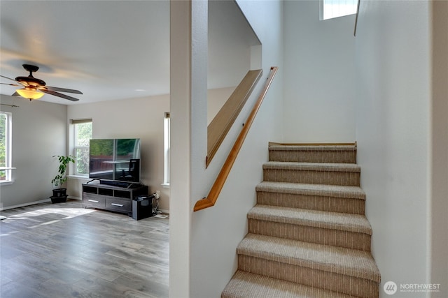 2824 187th St E, Tacoma, WA 98445 - stairway with wood finished floors and ceiling fan