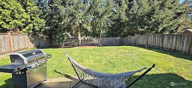 view of yard featuring a fenced backyard