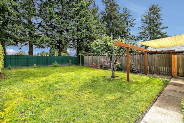 1004 30th St NE, Auburn, WA 98002 - view of yard