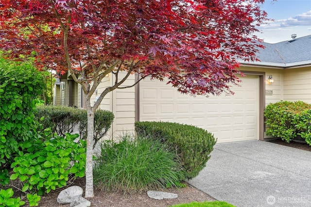view of side of home with concrete driveway, an attached garage, and a shingled roof