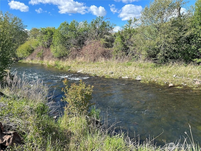 113 Baileysburg Ln, Dayton, WA 99328 - water view