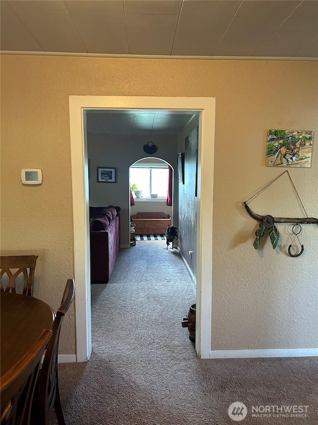 113 Baileysburg Ln, Dayton, WA 99328 - hall featuring carpet flooring, baseboards, and a textured wall