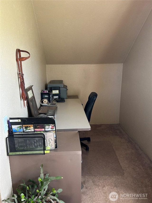 113 Baileysburg Ln, Dayton, WA 99328 - home office with lofted ceiling, carpet flooring, and a textured wall