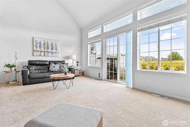1725 Harrison Pl Unit 103, Lynden, WA 98264 - carpeted living area with baseboards and high vaulted ceiling