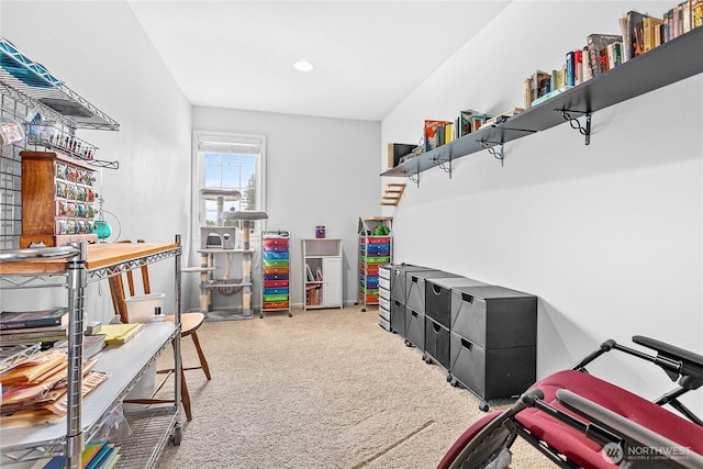 1725 Harrison Pl Unit 103, Lynden, WA 98264 - view of storage area