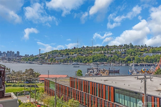 3333 Wallingford Ave N Unit 408, Seattle, WA 98103 - view of water feature with a dock, fence, and a city view