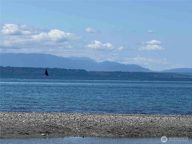 water view featuring a mountain backdrop