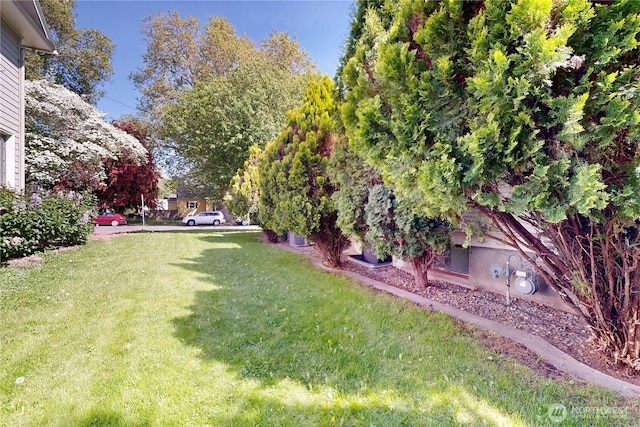 view of yard