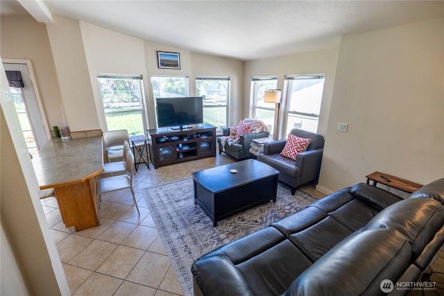 878 SW Hunter Ave, Quincy, WA 98848 - living room featuring light tile patterned flooring
