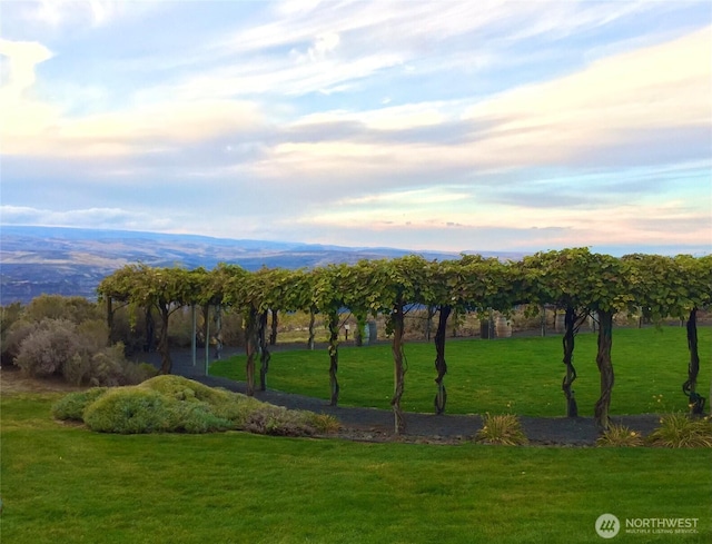 878 SW Hunter Ave, Quincy, WA 98848 - surrounding community featuring a lawn