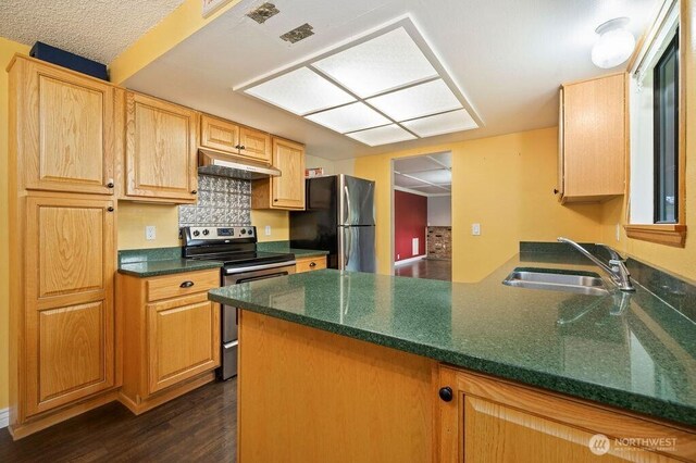 17919 3rd Ave NE, Arlington, WA 98223 - kitchen with stainless steel appliances, a peninsula, under cabinet range hood, a sink, and dark wood finished floors