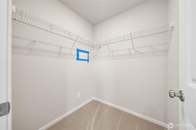 spacious closet with carpet flooring