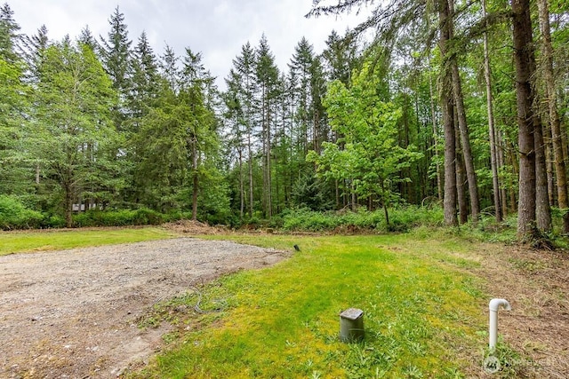 3804 129th Pl NW, Tulalip, WA 98271 - photo 5