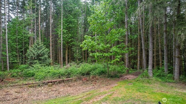 3804 129th Pl NW, Tulalip, WA 98271 - photo 8