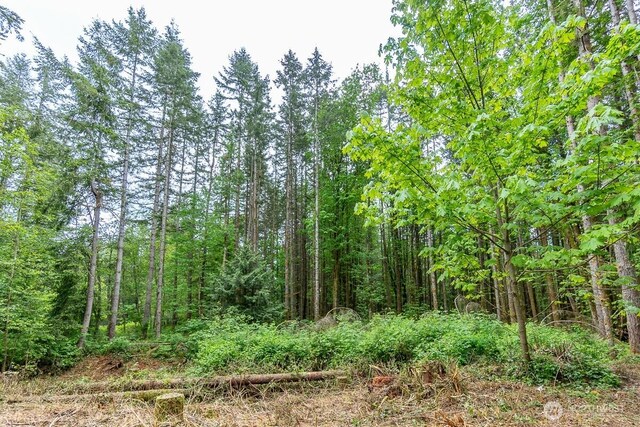 3804 129th Pl NW, Tulalip, WA 98271 - photo 10