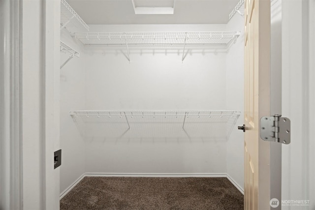 909 Orchid Pl Unit 201, Bellingham, WA 98226 - walk in closet featuring carpet floors