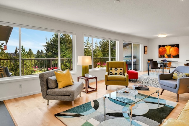 living area with a wealth of natural light and light wood-type flooring