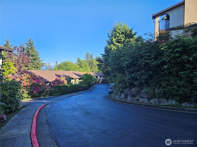 view of road featuring curbs and sidewalks