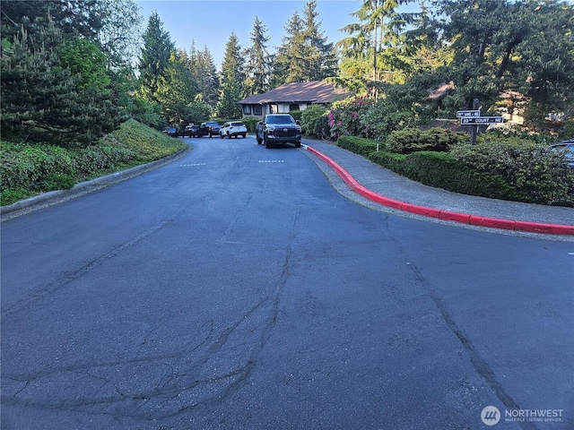 view of street featuring curbs and sidewalks
