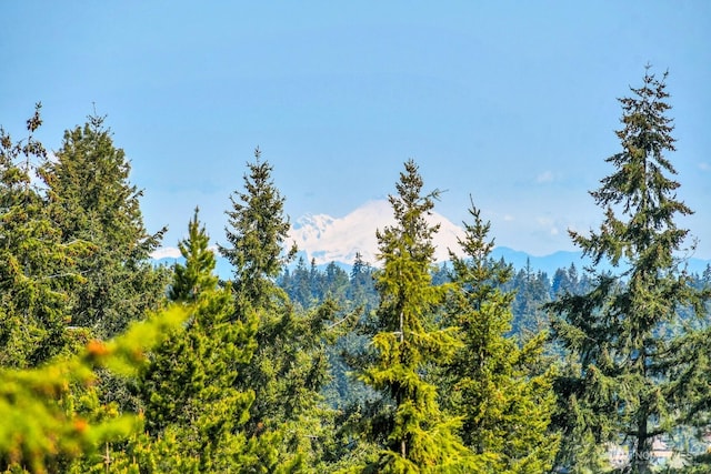 view of mountain feature featuring a wooded view