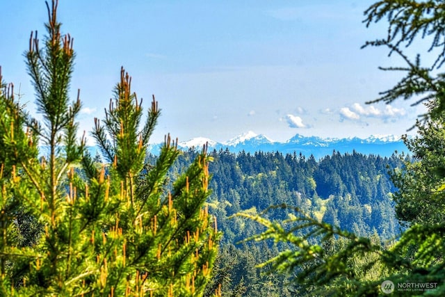 mountain view with a wooded view
