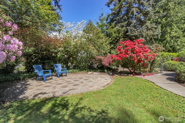 19801 88th Ave W, Edmonds, WA 98026 - view of grassy yard featuring a patio