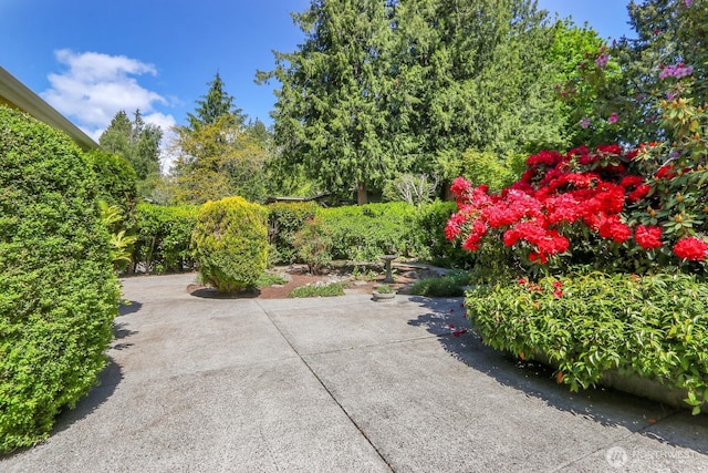 19801 88th Ave W, Edmonds, WA 98026 - view of yard with a patio area