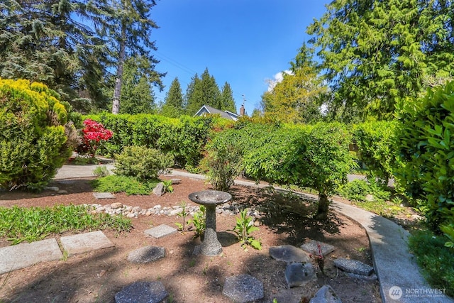 19801 88th Ave W, Edmonds, WA 98026 - view of yard