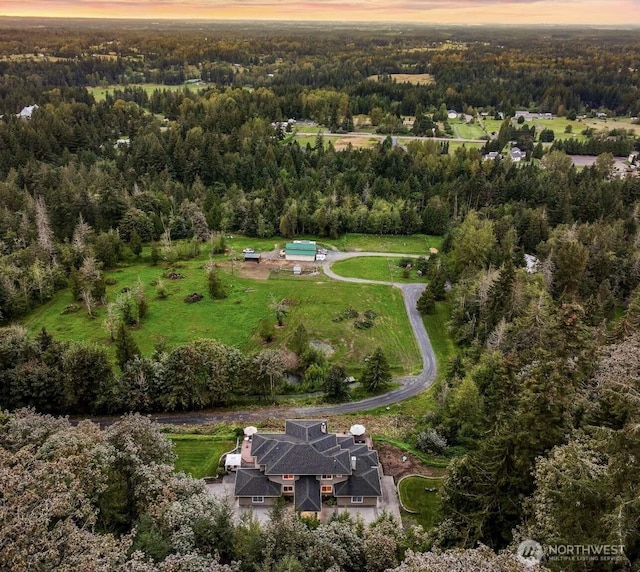 aerial view at dusk with a view of trees