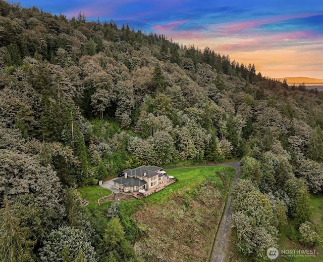 aerial view at dusk with a forest view