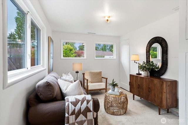 living area with light colored carpet