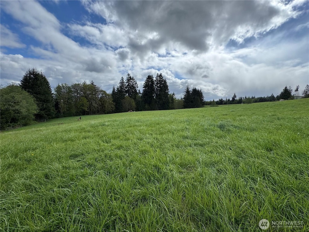 200LOTB Fineveiw, Chehalis, WA 98532