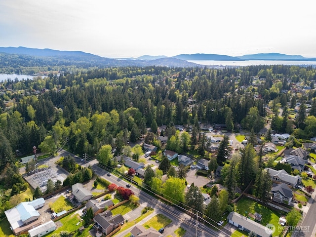 3785 Greenville Pl, Bellingham, WA 98226 - aerial view of property and surrounding area with a mountain backdrop and a heavily wooded area