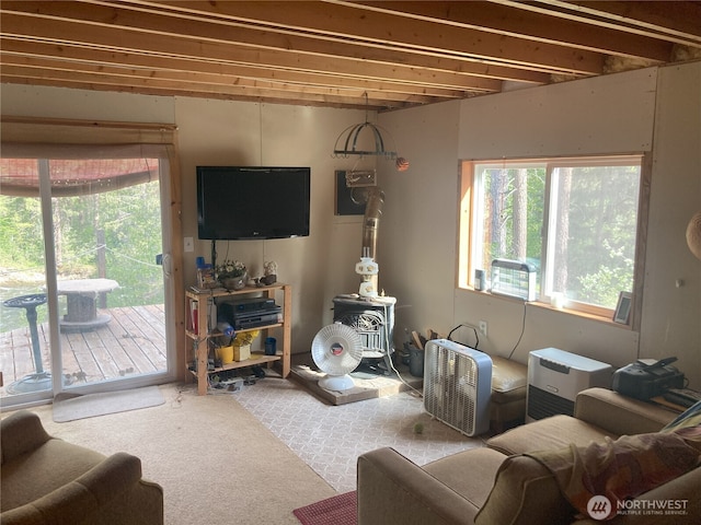 living area featuring carpet
