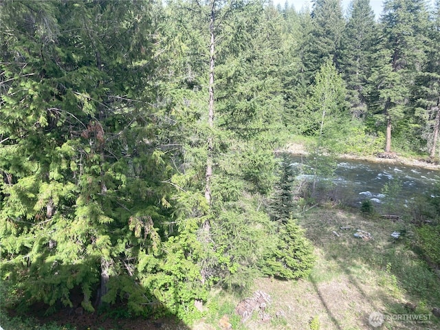 view of wooded area