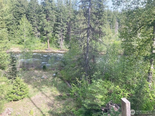 view of woods