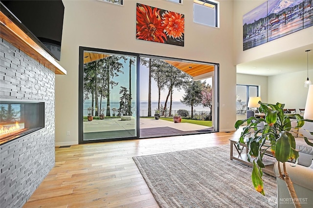 doorway to outside featuring wood-type flooring, a high ceiling, baseboards, and a wealth of natural light
