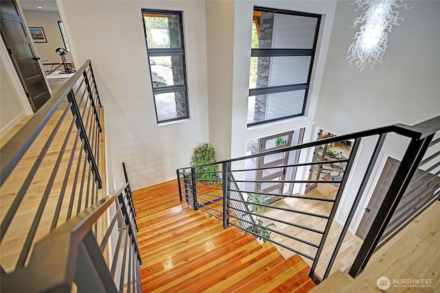 stairway with a high ceiling and hardwood / wood-style floors
